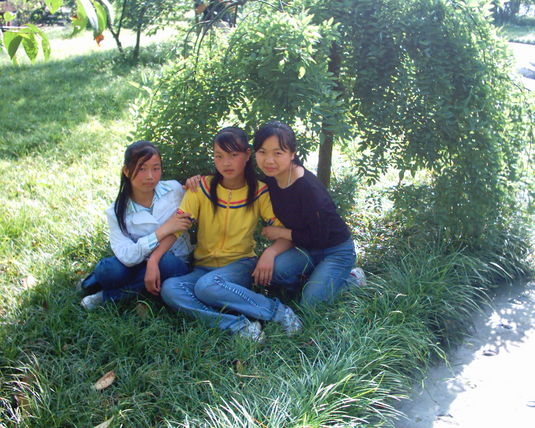 2006  (17)